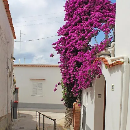 Bed & Breakfast Casa Angelina *